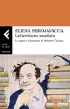 Letteratura assoluta synopsis, comments