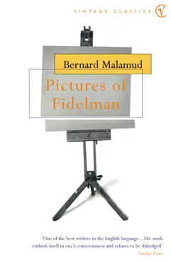 pictures of fidelman imagen de la portada del libro