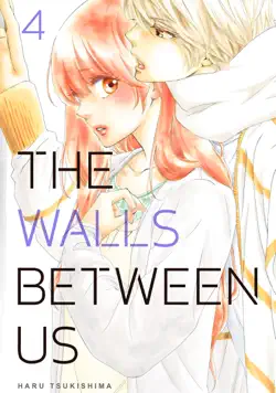 the walls between us volume 4 book cover image