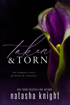 taken & torn book cover image