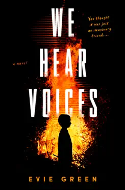 we hear voices book cover image