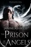 The Prison of the Angels synopsis, comments