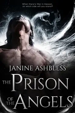 the prison of the angels book cover image