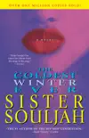 The Coldest Winter Ever synopsis, comments