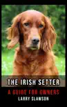 The Irish Setter synopsis, comments