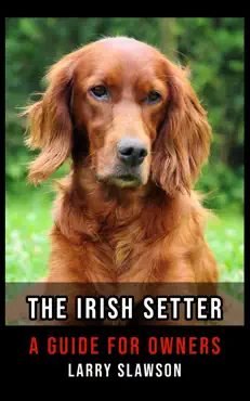 the irish setter book cover image