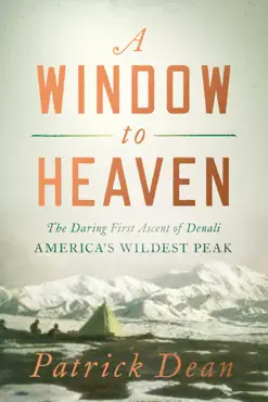 a window to heaven book cover image