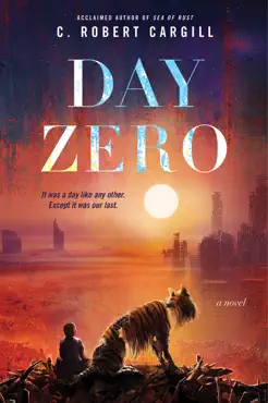 day zero book cover image