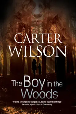the boy in the woods book cover image
