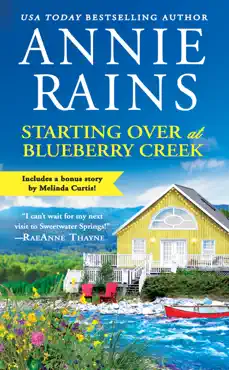 starting over at blueberry creek book cover image