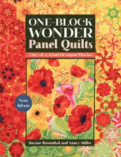 one-block wonder panel quilts book cover image