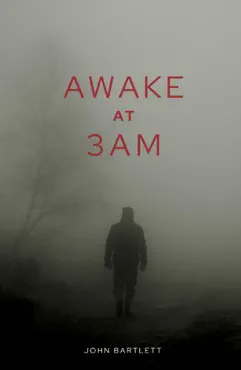 awake at 3 a.m. book cover image