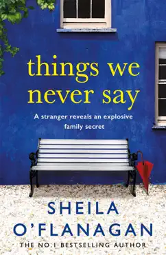 things we never say book cover image