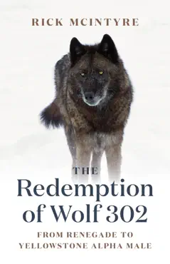 the redemption of wolf 302 book cover image