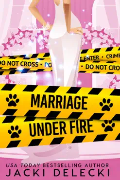 marriage under fire book cover image