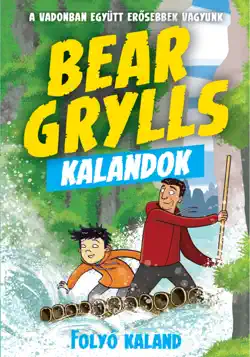 bear grylls book cover image