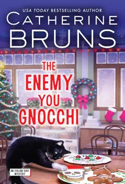 the enemy you gnocchi book cover image