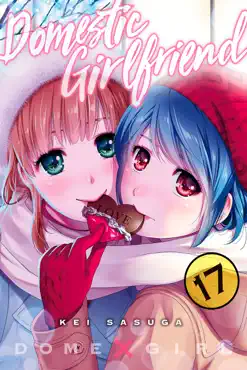 domestic girlfriend volume 17 book cover image