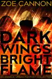 Dark Wings, Bright Flame synopsis, comments