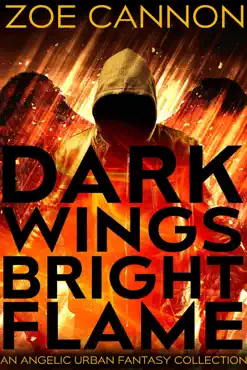 dark wings, bright flame book cover image