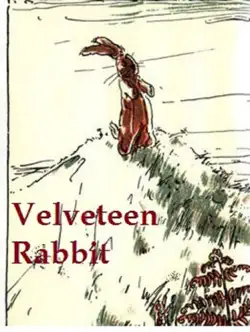 velveteen rabbit book cover image