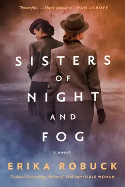 sisters of night and fog book cover image