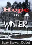 Hope in Winter synopsis, comments