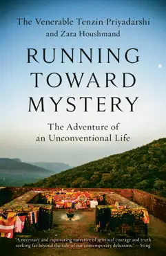 running toward mystery book cover image