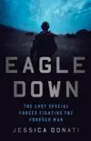 Eagle Down synopsis, comments