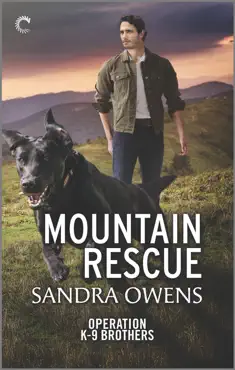 mountain rescue book cover image