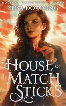 house of matchsticks book cover image