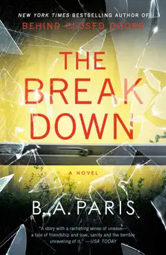 the breakdown book cover image