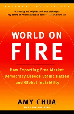world on fire book cover image