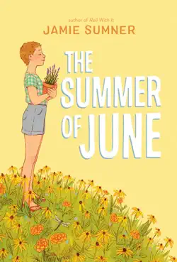 the summer of june book cover image