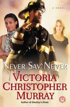 never say never book cover image