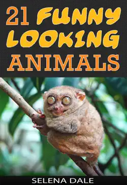21 funny looking animals book cover image