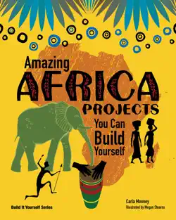 amazing africa projects book cover image