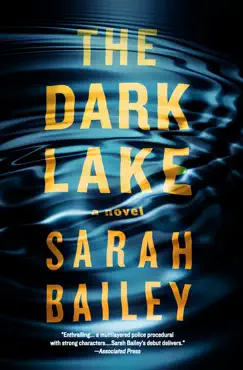 the dark lake book cover image