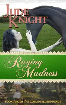 a raging madness book cover image