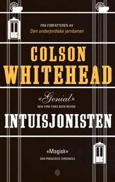 intuisjonisten book cover image