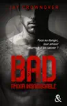 Bad - T5 Amour insaisissable sinopsis y comentarios