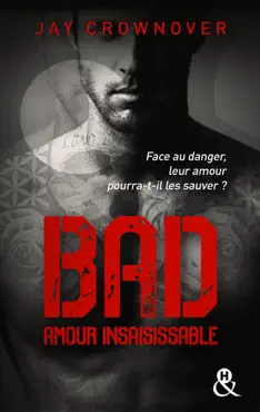 bad - t5 amour insaisissable book cover image