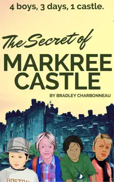 the secret of markree castle book cover image