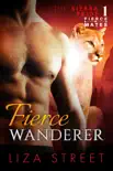 Fierce Wanderer synopsis, comments