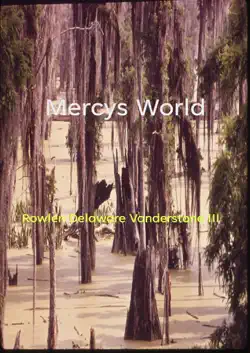 mercys world book cover image