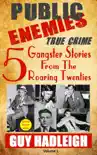 Public Enemies: 5 True Crime Gangster Stories from the Roaring Twenties e-book