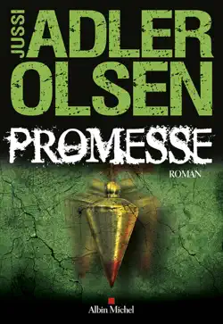 promesse book cover image