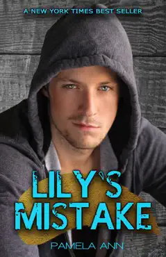 lily's mistake book cover image