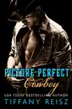 Picture Perfect Cowboy synopsis, comments