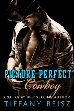 picture perfect cowboy book cover image